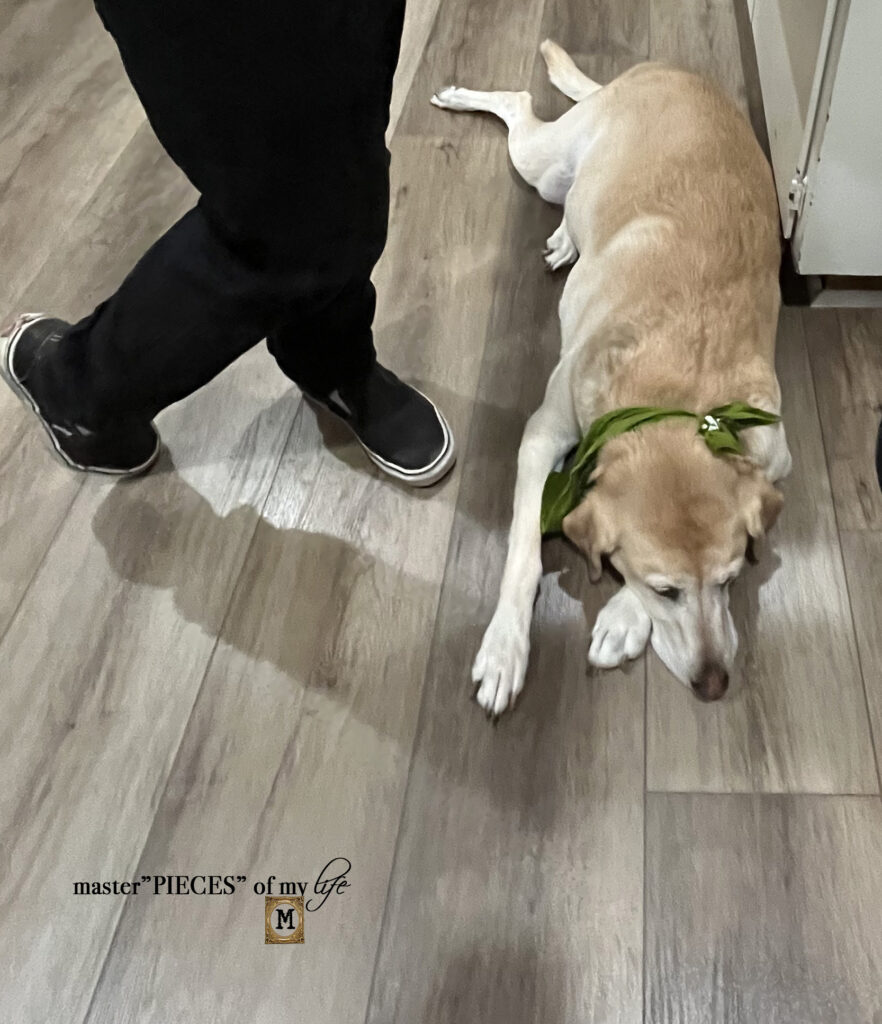 Luxury Vinyl flooring